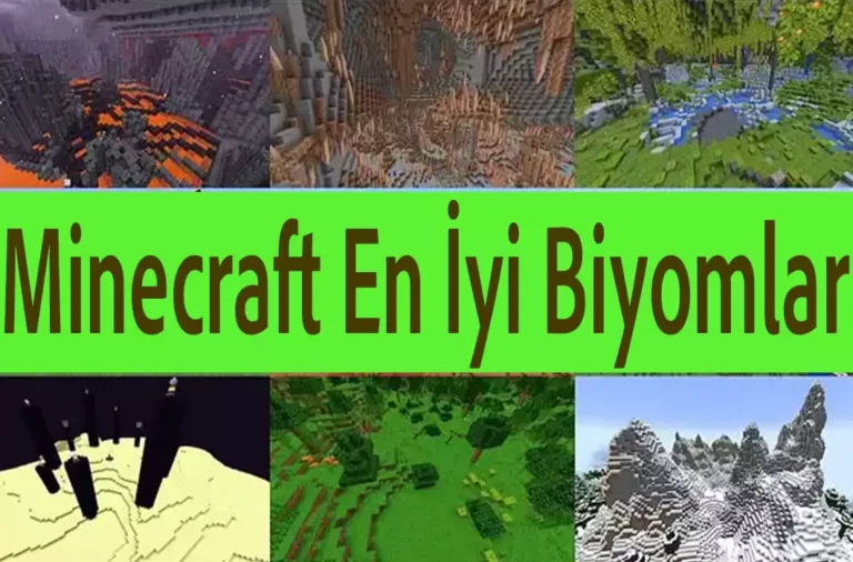 Minecraft En İyi Biyomlar