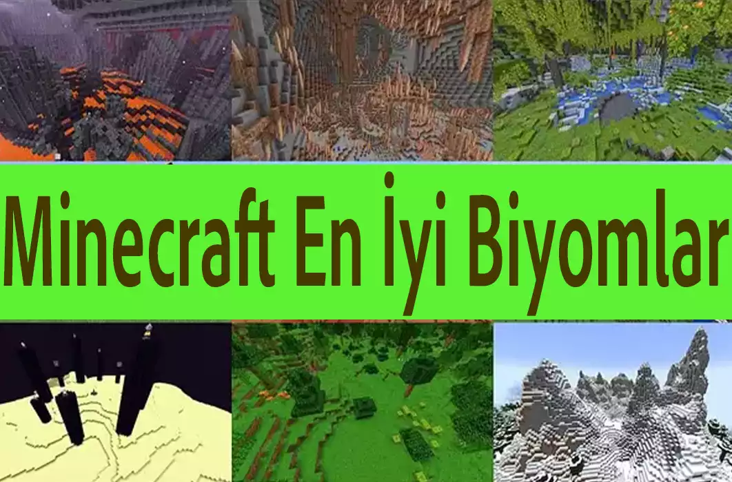 Minecraft En İyi Biyomlar