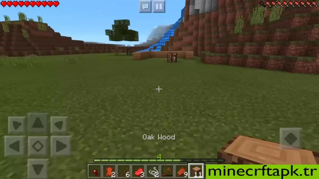 Minecraft iOS fiyatı