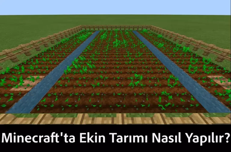 Minecraft'ta Ekin Tarımı Nasıl Yapılır